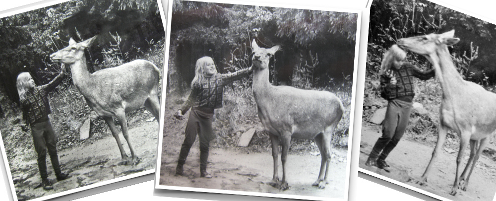 Svartvitt barnporträtt av Ariana Ramhage i ett närgånget möte med ett rådjur som undersöker hennes hår.